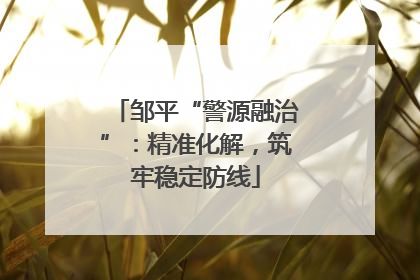 邹平“警源融治”：精准化解，筑牢稳定防线