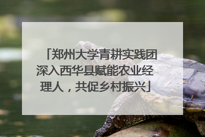 郑州大学青耕实践团深入西华县赋能农业经理人，共促乡村振兴