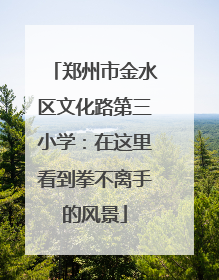 郑州市金水区文化路第三小学：在这里看到拳不离手的风景