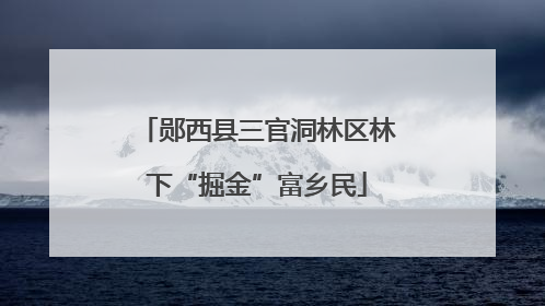 郧西县三官洞林区林下“掘金”富乡民