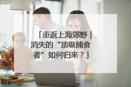 重返上海郊野｜消失的“顶级捕食者”如何归来？