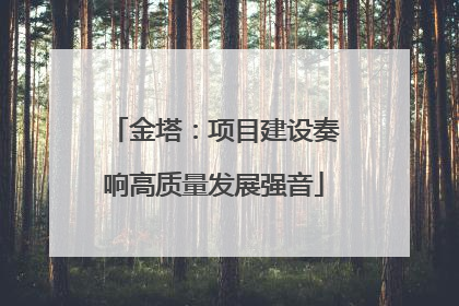 金塔：项目建设奏响高质量发展强音