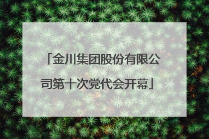 金川集团股份有限公司第十次党代会开幕