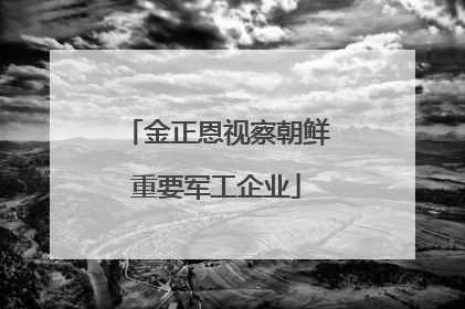 金正恩视察朝鲜重要军工企业