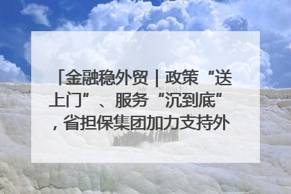 金融稳外贸｜政策“送上门”、服务“沉到底”，省担保集团加力支持外经贸高质量发展