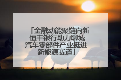 金融动能聚链向新 恒丰银行助力聊城汽车零部件产业挺进新能源赛道