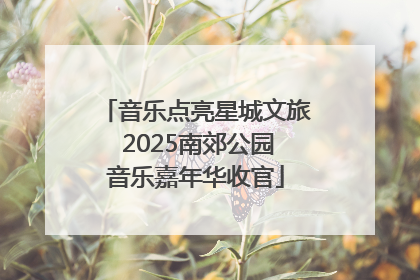 音乐点亮星城文旅 2025南郊公园音乐嘉年华收官