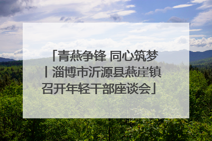 青燕争锋 同心筑梦丨淄博市沂源县燕崖镇召开年轻干部座谈会
