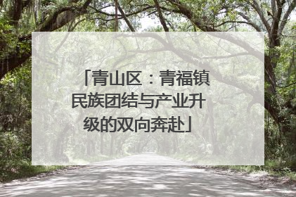 青山区：青福镇民族团结与产业升级的双向奔赴