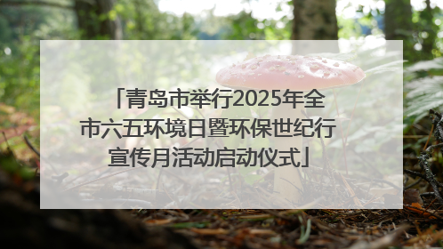 青岛市举行2025年全市六五环境日暨环保世纪行宣传月活动启动仪式