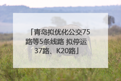 青岛拟优化公交75路等5条线路 拟停运37路、K20路