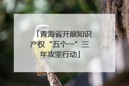 青海省开展知识产权“五个一”三年攻坚行动