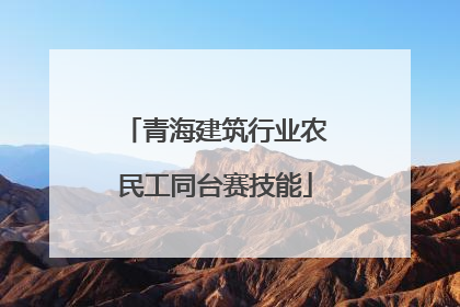 青海建筑行业农民工同台赛技能