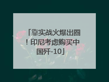 靠实战火爆出圈！印尼考虑购买中国歼-10
