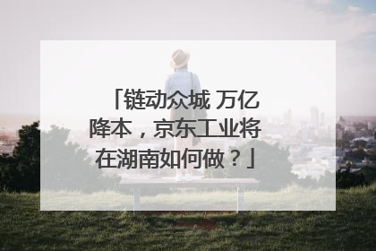 链动众城 万亿降本，京东工业将在湖南如何做？