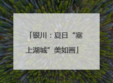 银川：夏日“塞上湖城”美如画