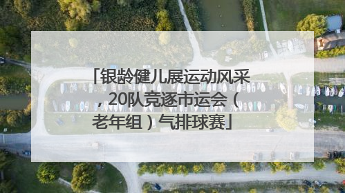 银龄健儿展运动风采，20队竞逐市运会（老年组）气排球赛