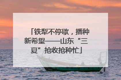 铁犁不停歇，播种新希望——山东“三夏”抢收抢种忙