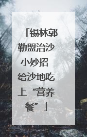 锡林郭勒盟治沙小妙招 给沙地吃上“营养餐”