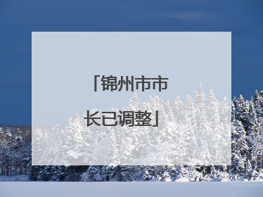 锦州市市长已调整