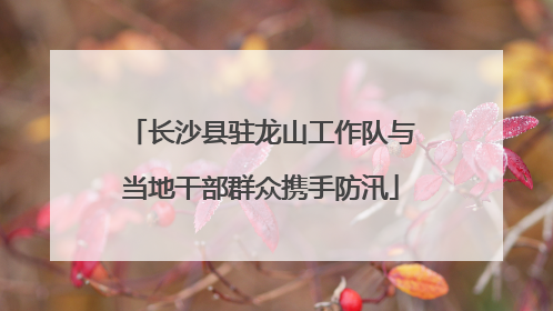 长沙县驻龙山工作队与当地干部群众携手防汛