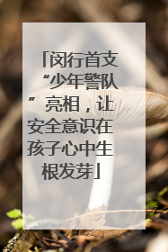 闵行首支“少年警队”亮相，让安全意识在孩子心中生根发芽
