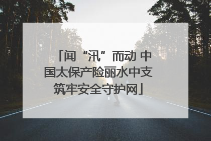 闻“汛”而动 中国太保产险丽水中支筑牢安全守护网