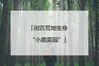 闲置荒地变身“小鹿菜园”