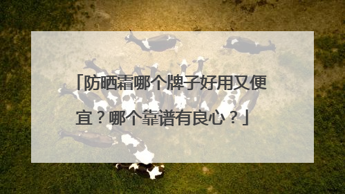 防晒霜哪个牌子好用又便宜？哪个靠谱有良心？