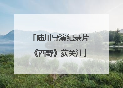 陆川导演纪录片《西野》获关注