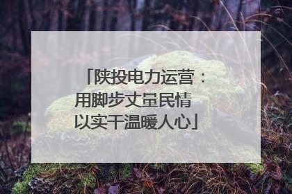 陕投电力运营：用脚步丈量民情 以实干温暖人心