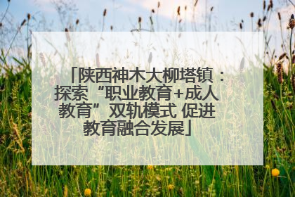 陕西神木大柳塔镇：探索“职业教育+成人教育”双轨模式 促进教育融合发展