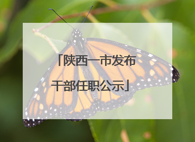陕西一市发布干部任职公示