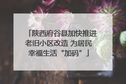 陕西府谷县加快推进老旧小区改造 为居民幸福生活“加码”