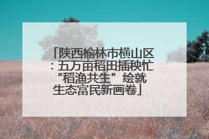 陕西榆林市横山区：五万亩稻田插秧忙 “稻渔共生”绘就生态富民新画卷