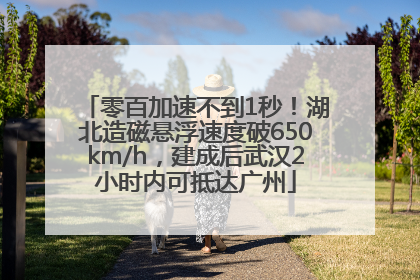 零百加速不到1秒！湖北造磁悬浮速度破650km/h，建成后武汉2小时内可抵达广州