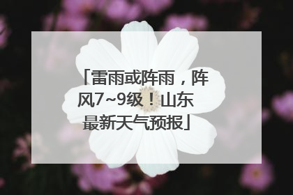 雷雨或阵雨，阵风7~9级！山东最新天气预报