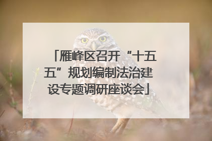 雁峰区召开“十五五”规划编制法治建设专题调研座谈会