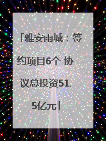 雅安雨城：签约项目6个 协议总投资51.5亿元