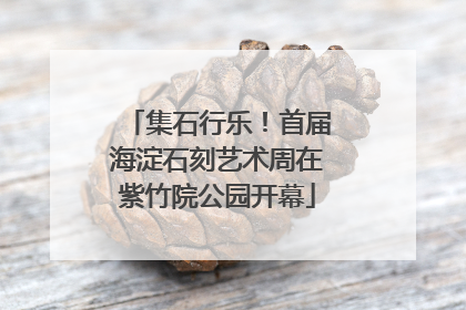 集石行乐！首届海淀石刻艺术周在紫竹院公园开幕