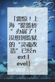 震惊！上海“提篮桥”办展了！没想到监狱的“灵魂改造”已经next level