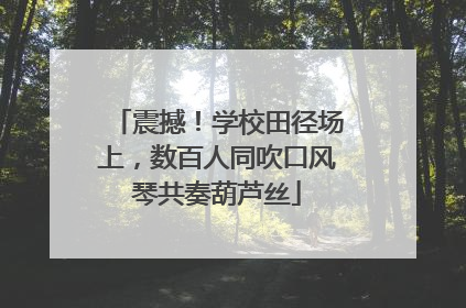 震撼！学校田径场上，数百人同吹口风琴共奏葫芦丝