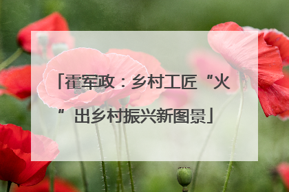 霍军政：乡村工匠“火”出乡村振兴新图景
