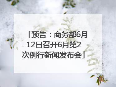 预告：商务部6月12日召开6月第2次例行新闻发布会