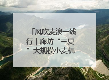 风吹麦浪一线行｜廊坊“三夏”大规模小麦机收全面开始