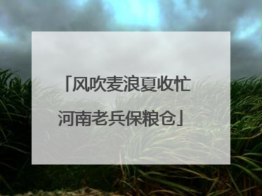 风吹麦浪夏收忙 河南老兵保粮仓