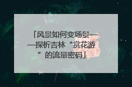 风景如何变场景——探析吉林“赏花游”的流量密码