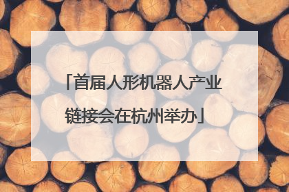 首届人形机器人产业链接会在杭州举办