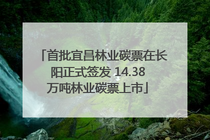 首批宜昌林业碳票在长阳正式签发 14.38万吨林业碳票上市