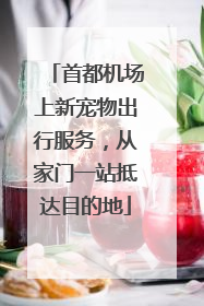首都机场上新宠物出行服务，从家门一站抵达目的地
